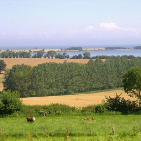 Ferienwohnungen Und Ferienhaus Im Nixenweg Hohwacht Exteriör bild