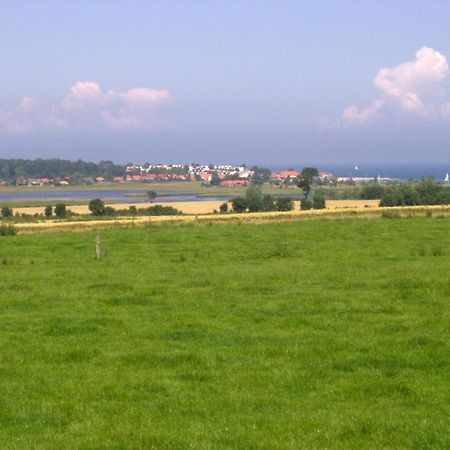 Ferienwohnungen Und Ferienhaus Im Nixenweg Hohwacht Exteriör bild
