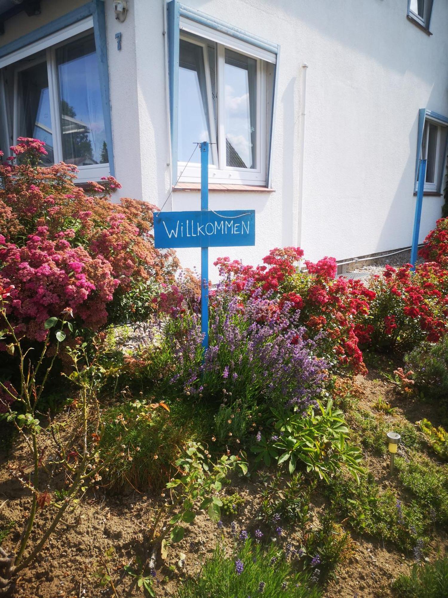 Ferienwohnungen Und Ferienhaus Im Nixenweg Hohwacht Exteriör bild