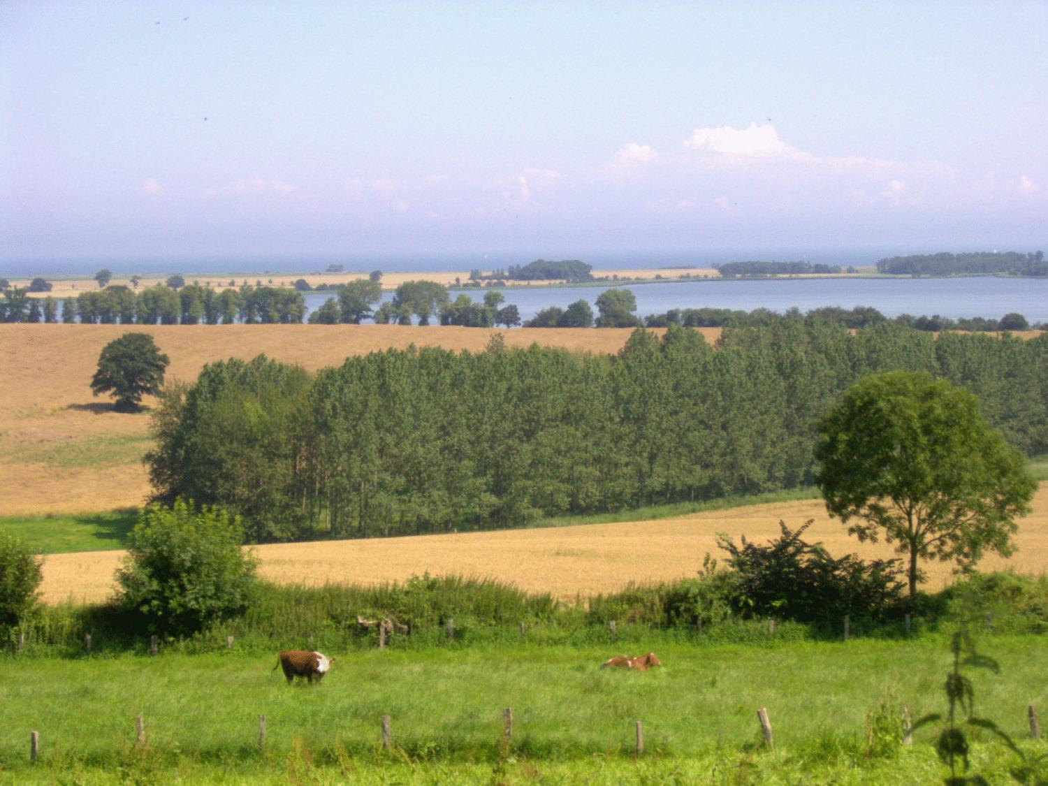 Ferienwohnungen Und Ferienhaus Im Nixenweg Hohwacht Exteriör bild