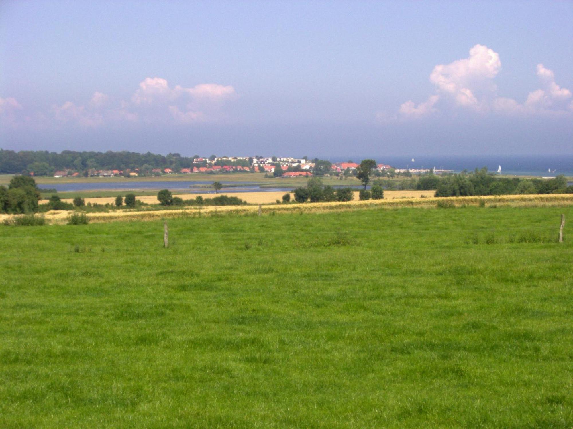 Ferienwohnungen Und Ferienhaus Im Nixenweg Hohwacht Exteriör bild